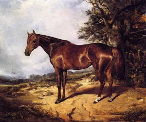 Thoroughbred Oil painting by Arthur Fitzwilliam Tait