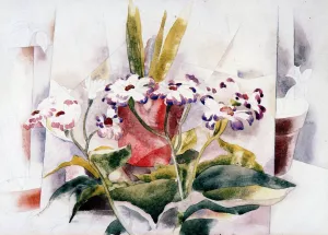 Cineraria Oil painting by Charles Demuth