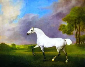 A Grey Horse by George Stubbs Oil Painting
