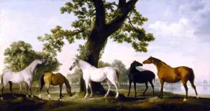 Five Brood Mares at the Duke of Cumberland's Stud Farm in Windsor Great Park by George Stubbs - Oil Painting Reproduction