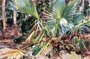 Palmettos, Florida by John Singer Sargent Oil Painting