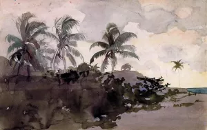 Coconut Palms by Winslow Homer Oil Painting