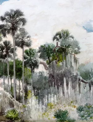 Florida Jungle by Winslow Homer Oil Painting