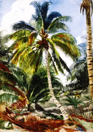 Palm Trees, Bahamas by Winslow Homer Oil Painting