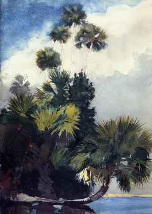 Palm Trees, Florida by Winslow Homer Oil Painting