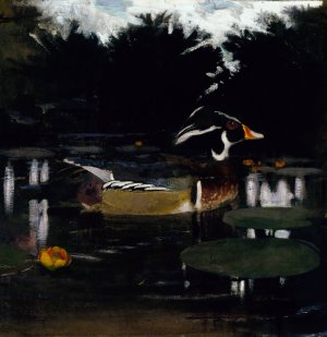 Male Wood Duck in a Forest Pool, study for book Concealing Coloration in the Animal Kingdom by Abbott Handerson Thayer Oil Painting