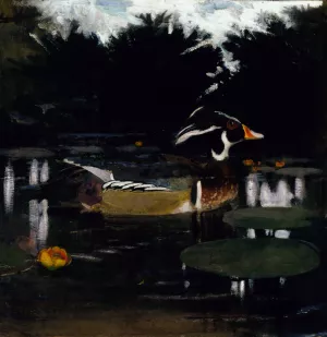 Male Wood Duck in a Forest Pool, study for book Concealing Coloration in the Animal Kingdom by Abbott Handerson Thayer Oil Painting