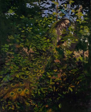 Peacock in the Woods, study for book Concealing Coloration in the Animal Kingdom by Abbott Handerson Thayer Oil Painting