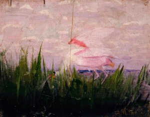 Roseate Spoonbill, study for book Concealing Coloration in the Animal Kingdom by Abbott Handerson Thayer Oil Painting