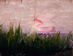 Roseate Spoonbill, study for book Concealing Coloration in the Animal Kingdom by Abbott Handerson Thayer Oil Painting