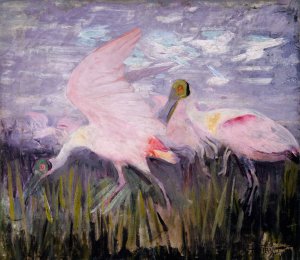 Roseate Spoonbills, study for book Concealing Coloration in the Animal Kingdom by Abbott Handerson Thayer Oil Painting