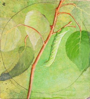 Sphinx Caterpillar, study for book Concealing Coloration in the Animal Kingdom by Abbott Handerson Thayer Oil Painting