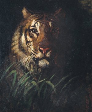 Tiger's Head by Abbott Handerson Thayer Oil Painting