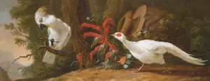 A Sulphur-Crested Cockatoo, A Red-Crested Cardinal And A White Pheasant In A Landscape With A Fallen Urn In The Background Oil painting by Abraham Bisschop