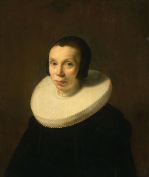 Portrait of a Woman by Abraham De Vries Oil Painting