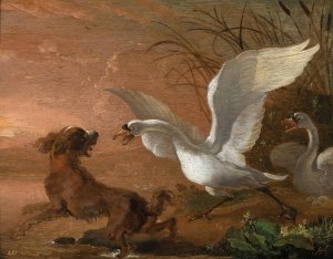 A swan attacking a dog by Abraham Hondius Oil Painting