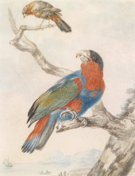 Main Product Photo of Papagei Painting by Abraham Meertens