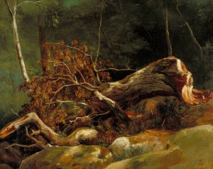 The Fallen Branch, Fontainebleau by Achille-Etna Michallon Oil Painting