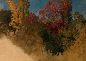 Waldstudie by Adolf Ditscheiner Oil Painting