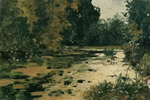 Waldtumpel Waldbach by Adolf Ditscheiner Oil Painting