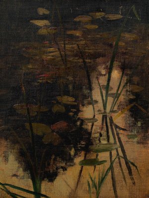 Wasserspiegel eines Teiches mit Pflanzen by Adolf Ditscheiner Oil Painting