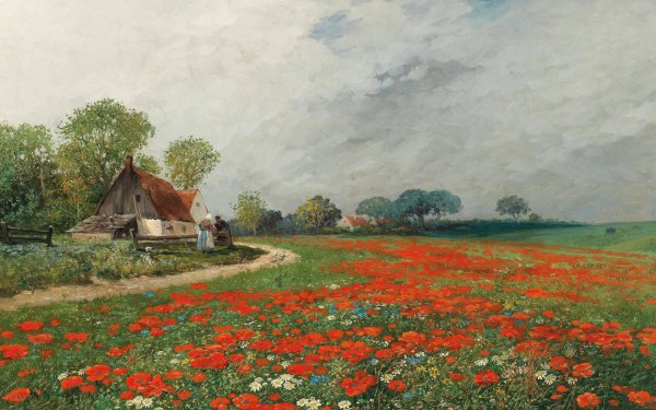 A Poppy Field with Daisies by Adolf Kaufmann - Hand-Painted Oil Painting Reproduction