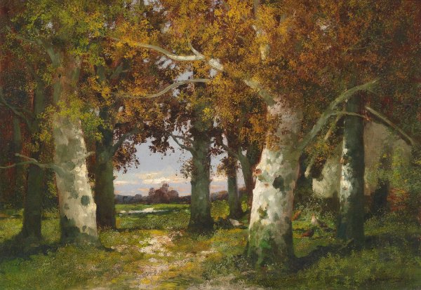 Waldlandschaft by Adolf Kaufmann - Hand-Painted Oil Painting Reproduction