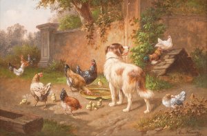 Dog among chicken by Adolf Nowey Oil Painting
