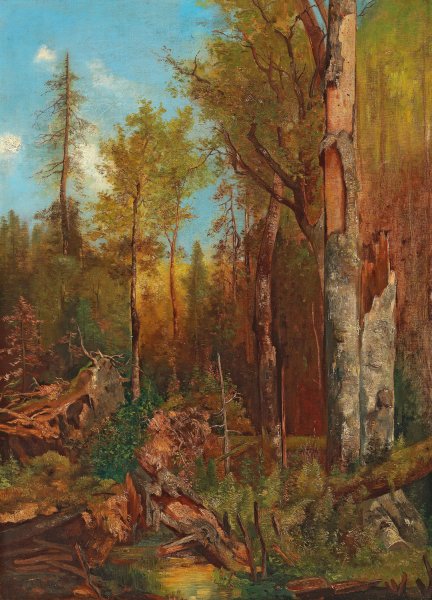 Aus den Forsten des Fursten Schwarzenberg by Adolf Obermullner - Hand-Painted Oil Painting Reproduction