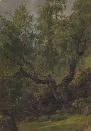 Forest Study from Numedal Oil painting by Adolph Tidemand