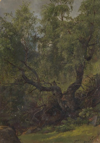 Main Product Photo of Forest Study from Numedal  Painting by Adolph Tidemand