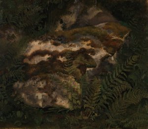 Study of an Moss-covered Stone and Ferns by Adolph Tidemand Oil Painting