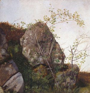 Study of Dog Roses and Ferns by Adolph Tidemand Oil Painting