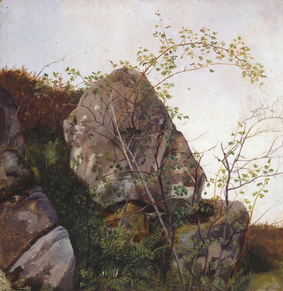 Study of Dog Roses and Ferns  by Adolph Tidemand - Hand-Painted Oil Painting Reproduction