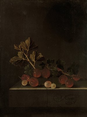 A Sprig of Gooseberries on a Stone Plinth by Adriaen Coorte Oil Painting