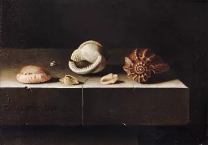 Five Shells on a Slab of Stone by Adriaen Coorte - Oil Painting Reproduction
