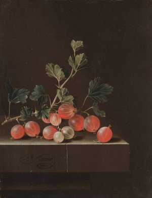 Gooseberries on a Table by Adriaen Coorte Oil Painting