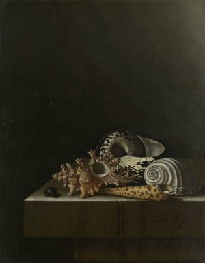 Shells on a Stone Plinth by Adriaen Coorte Oil Painting