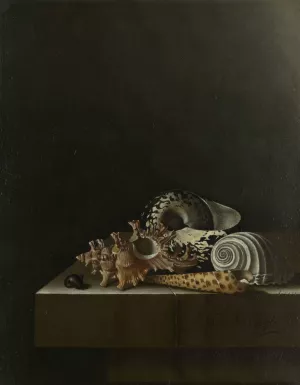 Shells on a Stone Plinth by Adriaen Coorte Oil Painting