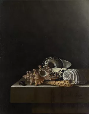 Shells on a Stone Plinth by Adriaen Coorte Oil Painting