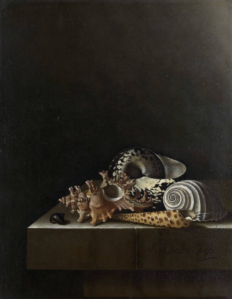 Main Product Photo of Shells on a Stone Plinth  Painting by Adriaen Coorte