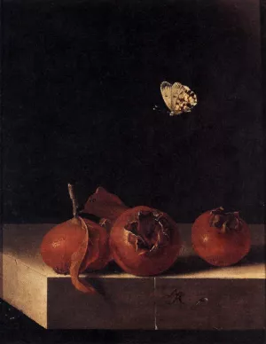 Three Medlars with a Butterfly by Adriaen Coorte - Oil Painting Reproduction