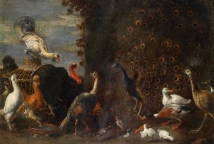 Huhnerhof mit Pfau Truthahn und Enten by Adriaen Van Utrecht Oil Painting