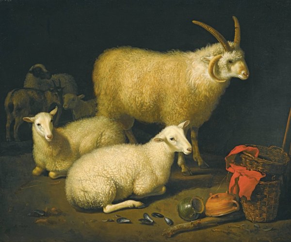 A barn interior with a four-horned ram and four ewes, and a goat, with a still life of a basket and upturned pots to the right by Aelbert Cuyp - Hand-Painted Oil Painting Reproduction