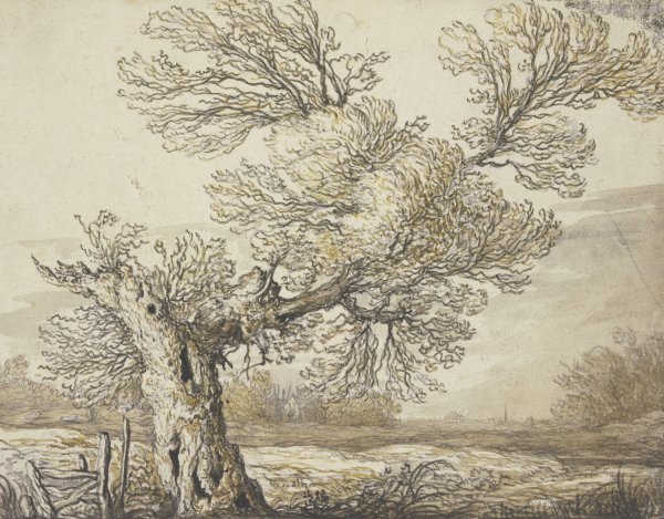 Main Product Photo of Landscape near Dordrecht  Painting by Aelbert Cuyp