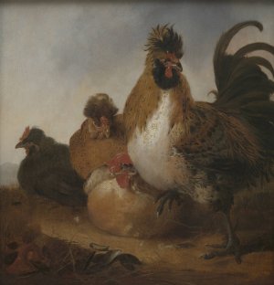 Rooster and Hens Object type by Aelbert Cuyp Oil Painting