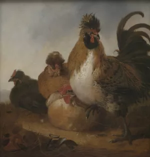 Rooster and Hens Object type by Aelbert Cuyp Oil Painting