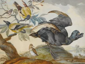 A Duck And Four Other Birds, Three On A Branch by Aert Schouman Oil Painting