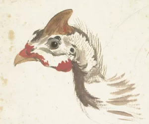 Head of a Helmeted Guineafowl by Aert Schouman Oil Painting