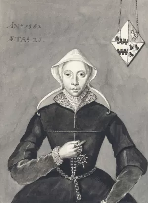 Portret van een vrouw met het wapen Van Slingelandt-Brouwer by Aert Schouman Oil Painting